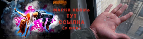 гидра Сосновый Бор