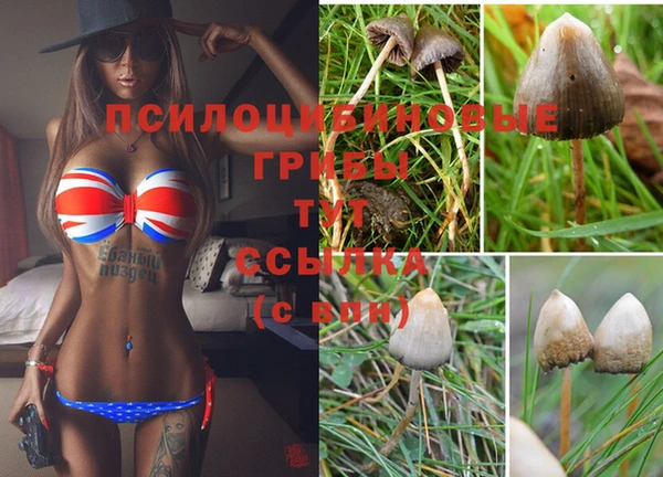 мескалин Алексеевка