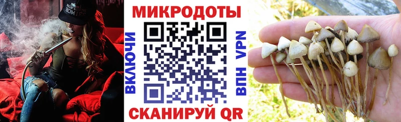 Псилоцибиновые грибы Psilocybe  Белоярский 